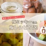 梅講師・梅ミッキーさんの簡単＆美味しい！手抜きに見えない梅レシピ＆梅しごと５選！